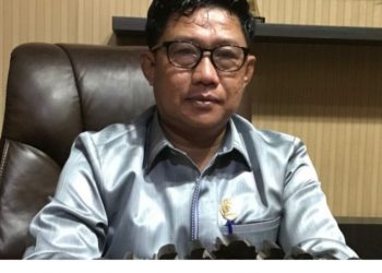 Dewan Dukung Penuh Perluasan Jaringan Listrik di Pedesaan