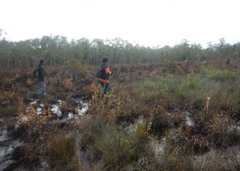 18 Hektare Lahan Wilayah Desa Sungai Perlu Terbakar