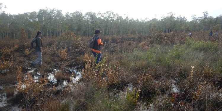 18 Hektare Lahan Wilayah Desa Sungai Perlu Terbakar