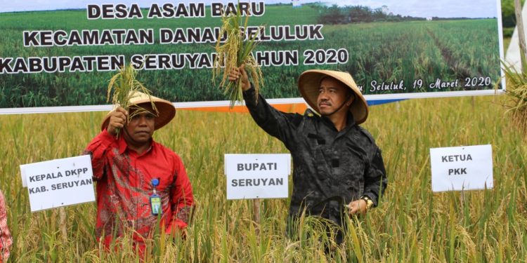 Tingkatkan Sektor Pertanian, Pemkab Seruyan Garap Program Kelompok Wanita Tani