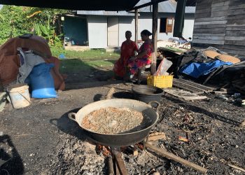 Harga Udang Masih Tinggi, Produksi Ebi Terhenti