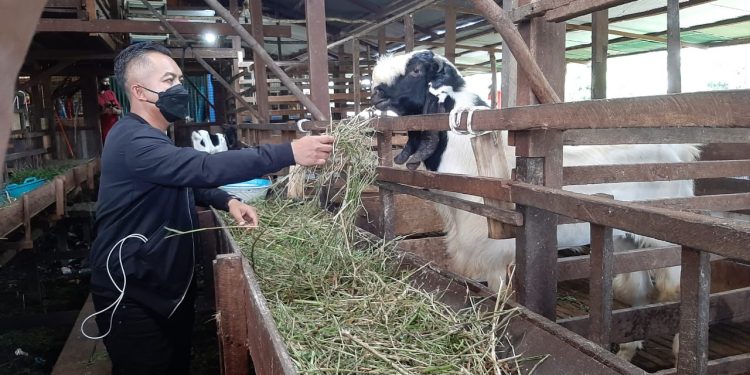 Tingkatkan Pembinaan dan Pemberdayaan Para Peternak di Seruyan