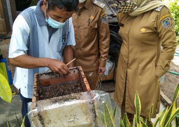 Wabup Seruyan Tinjau Langsung Budidaya Madu Kelulut