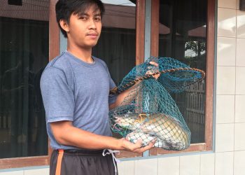 Di Landa Banjir, Warga ‘Panen’ Ikan Yang Masuk Ke Halaman Rumah