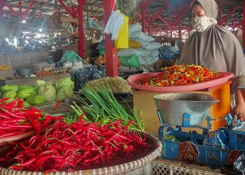 Harga Cabai Di Kuala Pembuang Beranjak Turun