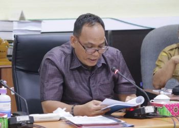Ajukan Pelepasan Kawasan Hutan, DPRD Seruyan Sarankan Ini