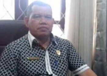 Dewan Dorong Beras Lokal Diberdayakan