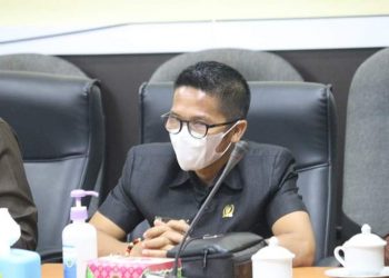 Dewan Minta Pemerintah Tingkatkan Pengawansan Arus Mudik
