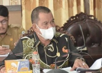 Meningkatkan PAD, Dewan Sarankan Pemkab Lakukan Hal Ini