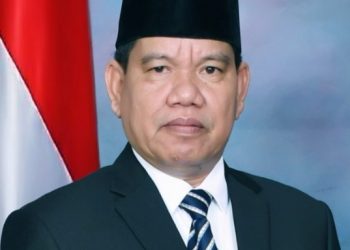 Dewan Dorong BUMD Segera Diaktifkan