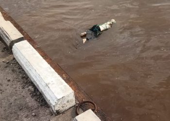 Diduga Diserang Buaya, Mayat Seorang Pria Mengapung di Pesisir Pelabuhan Segintung
