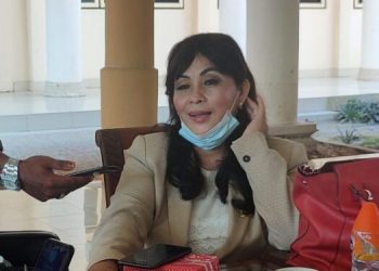 Dukung Investor Masuk Barsel