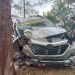 Hilang Kendali Akibat Ban Meletus, Mobil Avanza Hantam Pohon