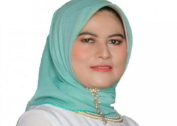 Dewan Apresiasi Pemerintah Berikan Subsidi Bagi Angkutan Umum