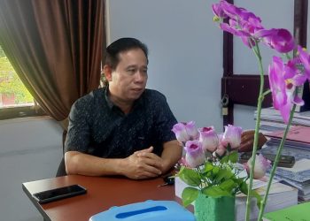 Tekan Kenaikan Harga Beras di Pasaran, Dewan Sarankan Hal Ini