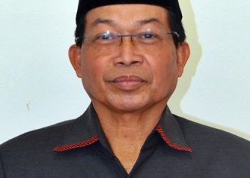 Wujudkan Pemerataan Pembangunan, Pemerintah Harus Mampu Hadapi Tantangan