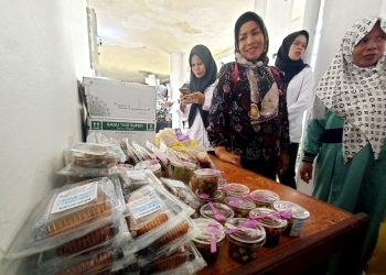 Program Pemberdayaan Ekonomi Keluarga Yang Dikembangkan Oleh BKKBN