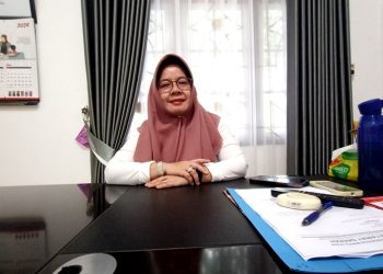 Rekrutmen CPNS dan PPPK 2024, Pemkab Barut Dapat Kouta 3.424 Formasi