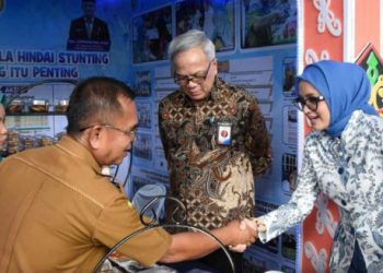 Pemkab Barut Ikuti Penilaian Penurunan Stunting dan Rembuk Stunting Se Kalteng Tahun 2024