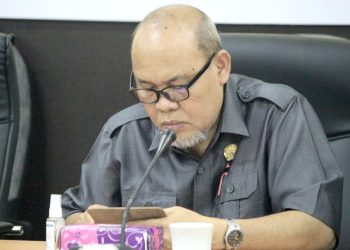 Pemda Disarankan Jalin Kerja Sama Untuk Tingkatkan Kualitas Sistem