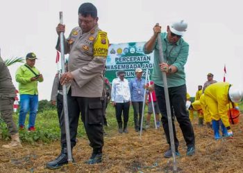 Perlu Sinergi Untuk Sukseskan Penanaman Jagung Serentak
