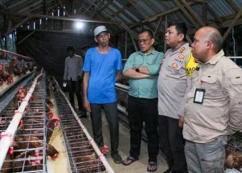 Apresiasi Peternakan Ayam Petelur di Desa Mugi Panyuhu
