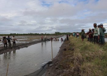 Melalui Program Budidaya Perikanan, Diskan Komitmen Tingkatkan Ekonomi Nelayan