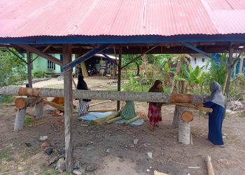 Tak Lekang Oleh Waktu, Budaya Mengguling Purun Masih Dilestarikan