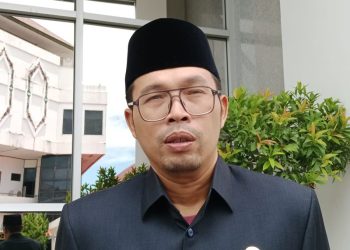Legislator ini Tekankan Pentingnya Pemerataan Jaringan Listrik