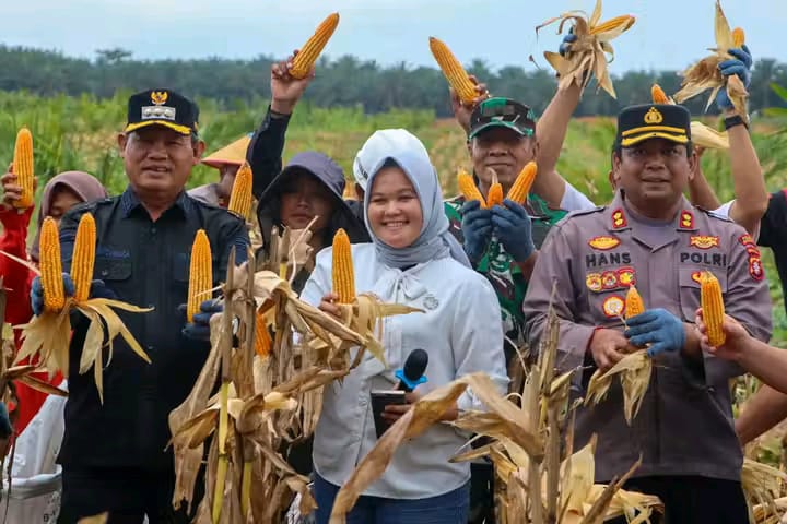 Bupati Seruyan Hadiri Panen Raya Jagung Serentak Bersama Polres Seruyan