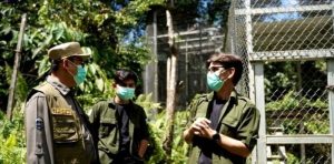 Dewan Barito Utara Apresiasi Kolaboratif Konservasi Antara Pemerintah Daerah dan Yayasan Kalaweit