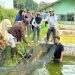 Bentuk Komitmen Nyata Pemerintah, Panen Bibit Ikan di BPBAT Lahei Dukung Produktivitas Warga