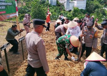 Sinergi Lintas Sektor, Pj Bupati Barut Apresiasi Dukungan Kapolres dalam Program Tanam Jagung Serentak