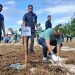 Ajak Masyarakat Sama-Sama Tanam Pohon